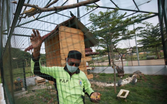 Bermain Sambil Mengenal Satwa di Taman Jalur Hijau Kosambi
