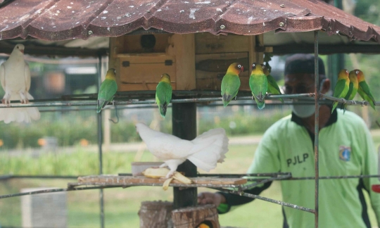 Bermain Sambil Mengenal Satwa di Taman Jalur Hijau Kosambi