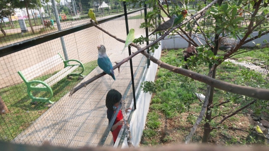 Bermain Sambil Mengenal Satwa di Taman Jalur Hijau Kosambi