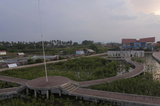 Wisata Bahari di Pesisir Mauk