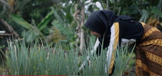 Potret Kehidupan Gadis Desa yang Cantik Keturunan Turki Pintar Masak Rebung Bambu
