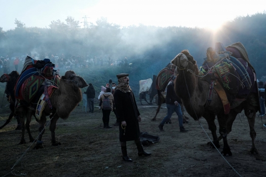 Melihat Festival Gulat Unta Internasional di Turki