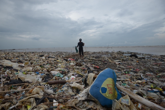 Penampakan Lautan Sampah di Muara Sungai Cisadane