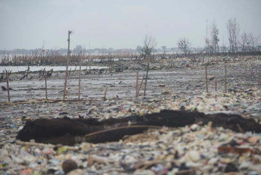 Penampakan Lautan Sampah di Muara Sungai Cisadane