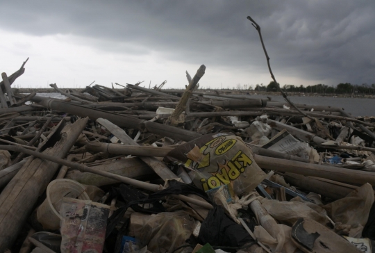 Penampakan Lautan Sampah di Muara Sungai Cisadane