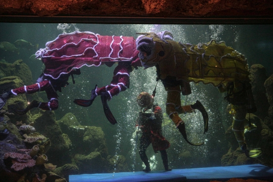 Atraksi Barongsai di Aquarium Raksasa Ancol