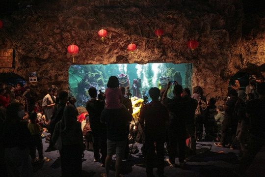 Atraksi Barongsai di Aquarium Raksasa Ancol