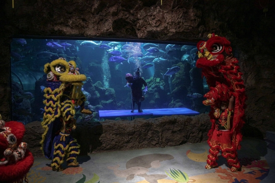 Atraksi Barongsai di Aquarium Raksasa Ancol