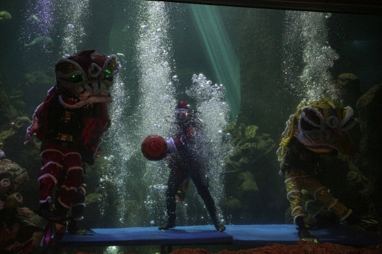 Atraksi Barongsai di Aquarium Raksasa Ancol
