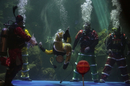 Atraksi Barongsai di Aquarium Raksasa Ancol