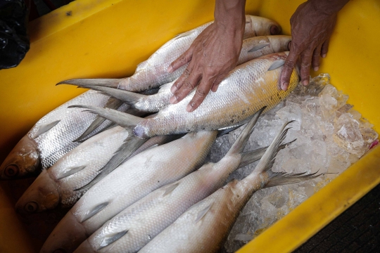 Geliat Penjualan Ikan Bandeng di Pasar Petak Sembilan Jelang Imlek