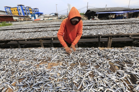 Produksi Olahan Ikan Asin Turun Akibat Curah Hujan