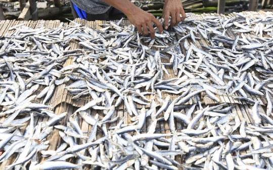 Produksi Olahan Ikan Asin Turun Akibat Curah Hujan