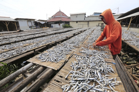 Produksi Olahan Ikan Asin Turun Akibat Curah Hujan