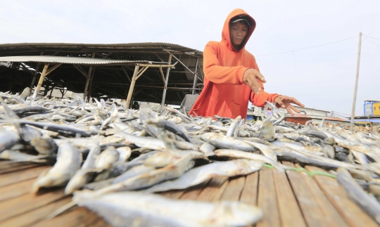 Produksi Olahan Ikan Asin Turun Akibat Curah Hujan