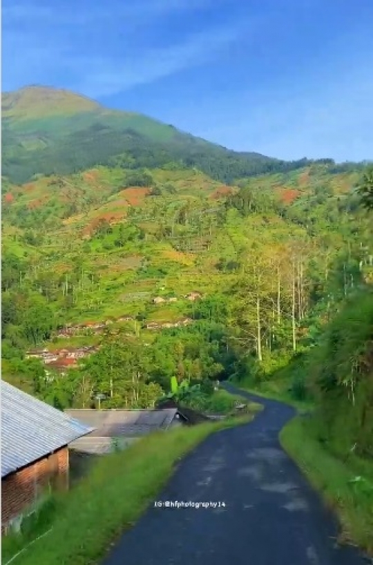 Desa di Magelang Ini Indahnya Bukan Main, Mirip Suasana di Luar Negeri