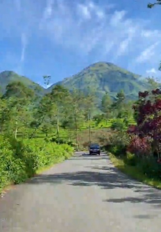 Desa di Wonosobo Indahnya Bukan Main, Ini Potretnya Tak Kalah dari Swiss