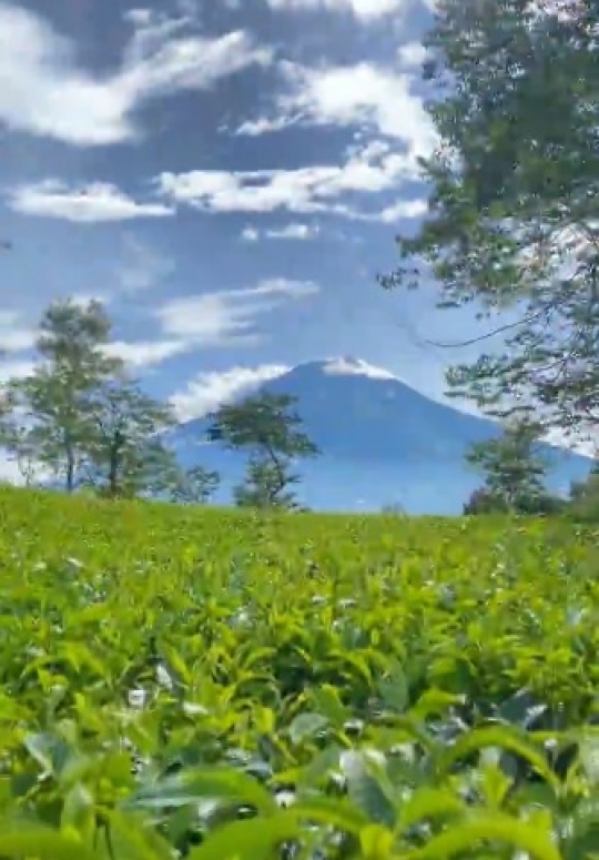 Desa di Wonosobo Indahnya Bukan Main, Ini Potretnya Tak Kalah dari Swiss