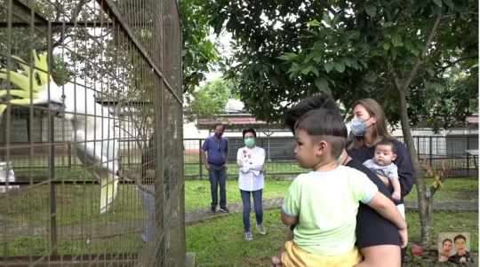 Koleksi Binatang Pribadi di Rumah Mantan Gubernur DKI,Ada Kanguru Hingga Ikan Raksasa