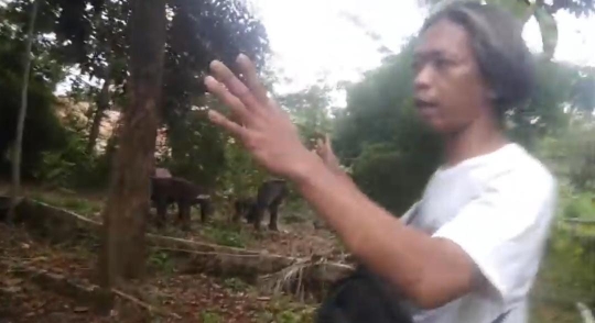 Kondisi 'Kampung Artis' Sekarang Memprihatinkan, Dulu Jadi Tempat Shooting Sinetron