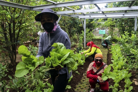 Warga Manfaatkan Lahan Tidak Produktif Menjadi Wisata Edukasi