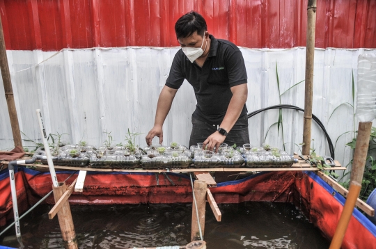 Menjaga Ketahanan Pangan di Masa Pandemi dengan Budi Daya Ikan