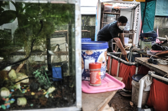 Menjaga Ketahanan Pangan di Masa Pandemi dengan Budi Daya Ikan