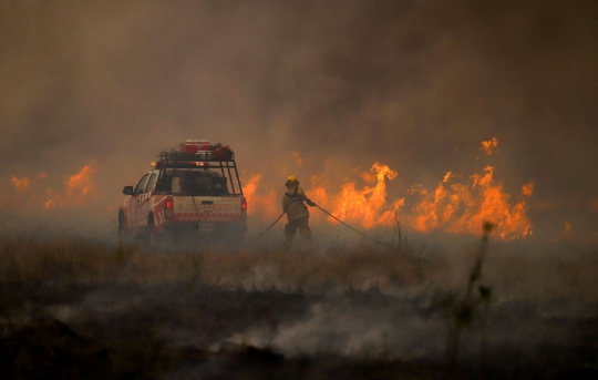 Penampakan Api yang Menghanguskan 500 Ribu Hektar Hutan Argentina