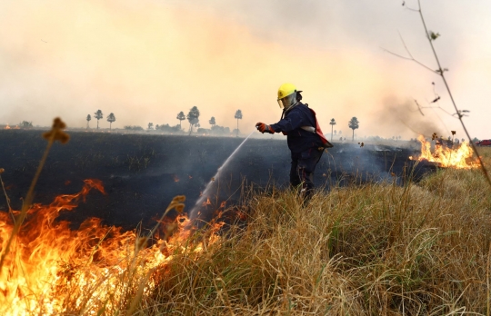 Penampakan Api yang Menghanguskan 500 Ribu Hektar Hutan Argentina