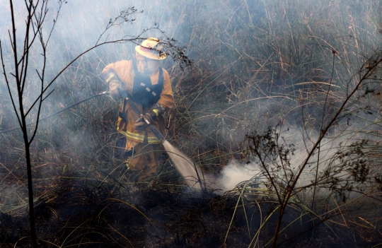 Penampakan Api yang Menghanguskan 500 Ribu Hektar Hutan Argentina