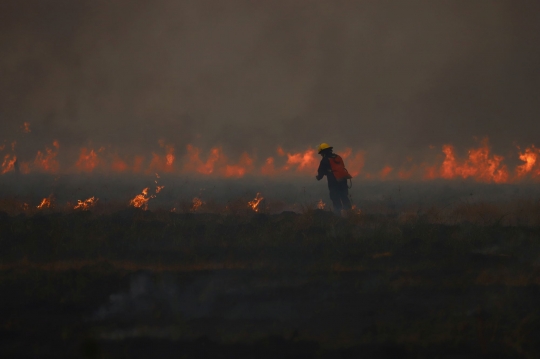 Penampakan Api yang Menghanguskan 500 Ribu Hektar Hutan Argentina