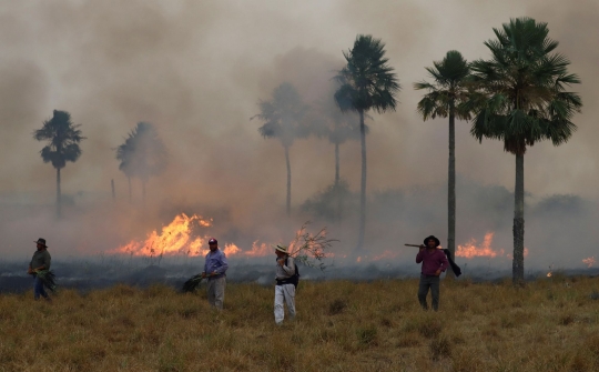 Penampakan Api yang Menghanguskan 500 Ribu Hektar Hutan Argentina