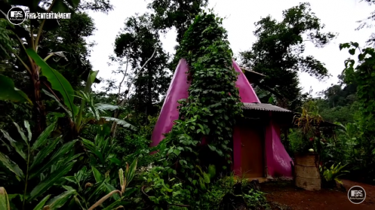 Potret Rumah Unik di Tengah Hutan Warnanya Pink dan Bentuknya Kerucut