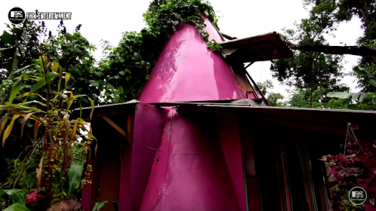 Potret Rumah Unik di Tengah Hutan Warnanya Pink dan Bentuknya Kerucut