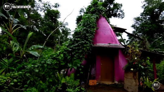 Potret Rumah Unik di Tengah Hutan Warnanya Pink dan Bentuknya Kerucut