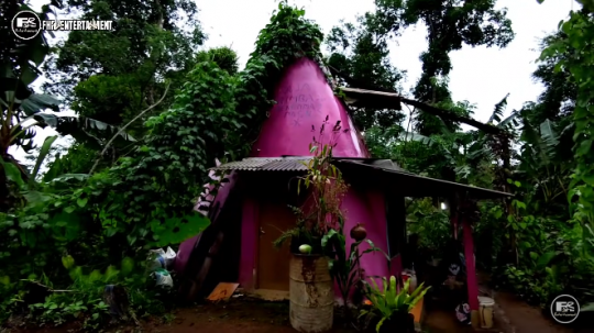 Potret Rumah Unik di Tengah Hutan Warnanya Pink dan Bentuknya Kerucut