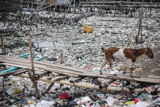 Potret Sampah di Pesisir Jakarta yang Kian Memprihatinkan