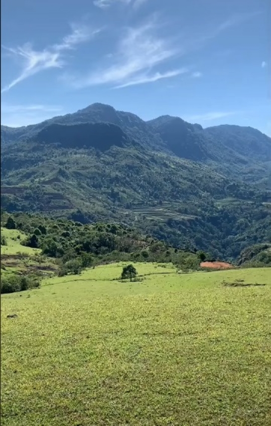 Potret Padang Rumput Indah di Sulawesi, Pemandangannya Mirip Background di Komputer