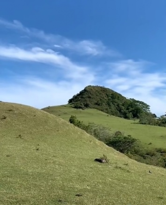 Potret Padang Rumput Indah di Sulawesi, Pemandangannya Mirip Background di Komputer