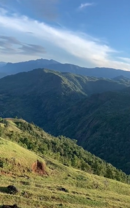 Potret Padang Rumput Indah di Sulawesi, Pemandangannya Mirip Background di Komputer