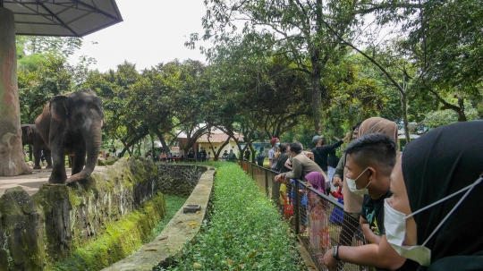 Libur Isra Miraj, Taman Margasatwa Ragunan Ramai Pengunjung