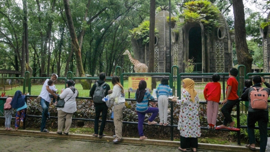 Libur Isra Miraj, Taman Margasatwa Ragunan Ramai Pengunjung