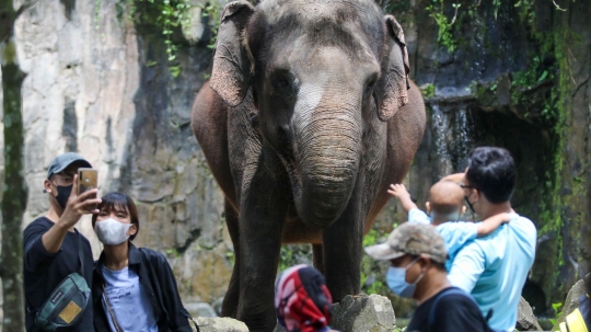 Libur Isra Miraj, Taman Margasatwa Ragunan Ramai Pengunjung