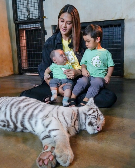 Bikin Ngeri! 5 Momen Kiano dan Kenzo Bareng 'Selen', Harimau Putih Alshad Ahmad