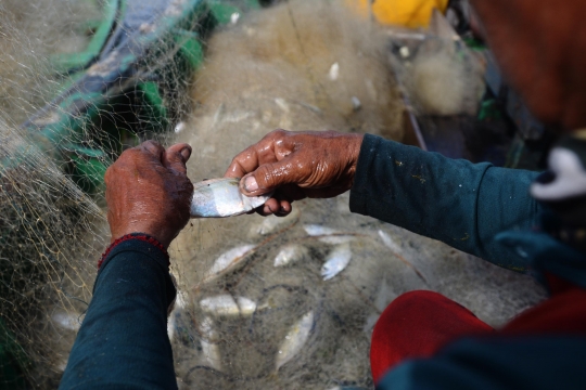 Harga Komoditas Laut Naik karena Cuaca Buruk