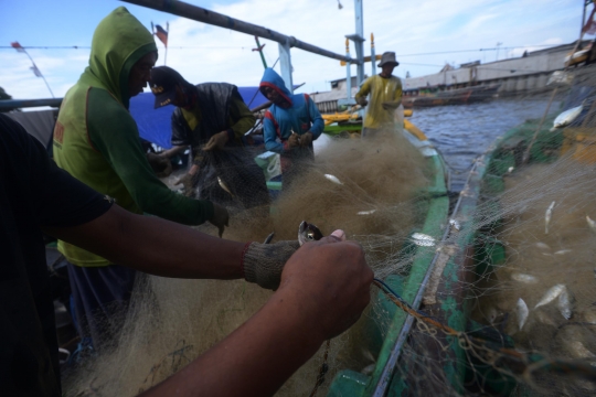 Harga Komoditas Laut Naik karena Cuaca Buruk