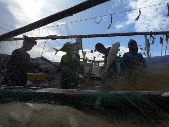 Harga Komoditas Laut Naik karena Cuaca Buruk