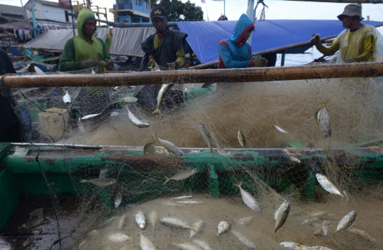 Harga Komoditas Laut Naik karena Cuaca Buruk