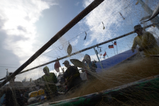 Harga Komoditas Laut Naik karena Cuaca Buruk