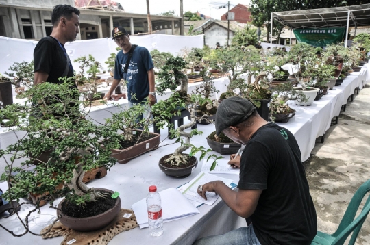 Mengunjungi Pameran Bonsai di Depok